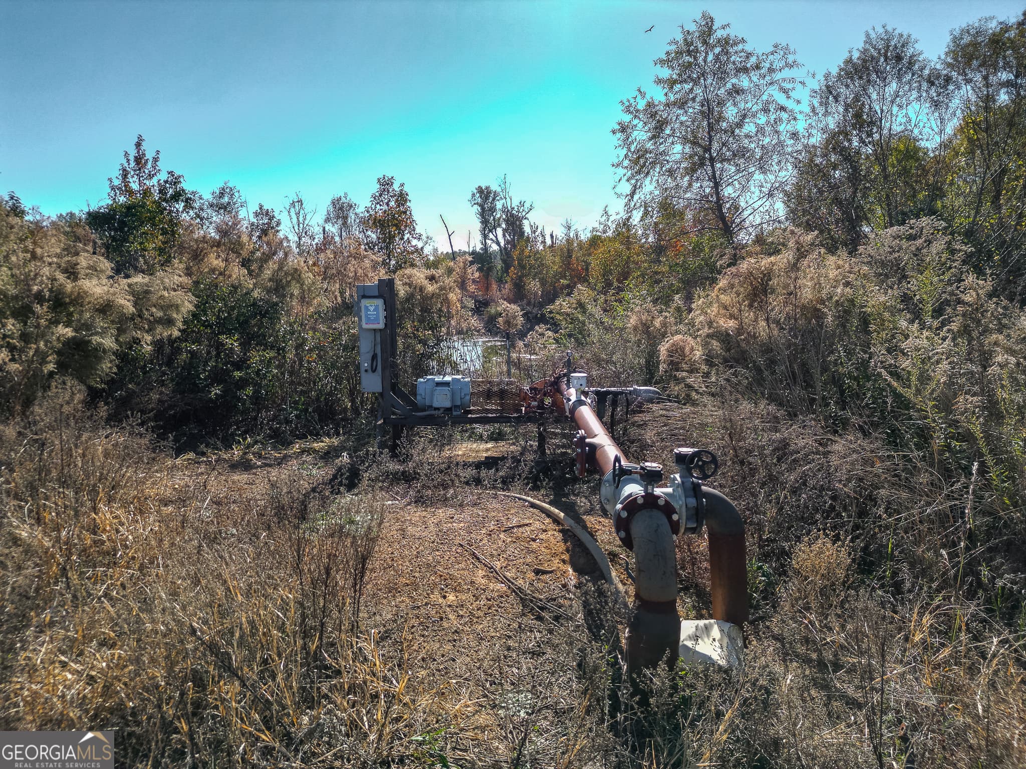 agriculture for sale at 0 Buck Road, Morgan, GA 39866 — photo 7