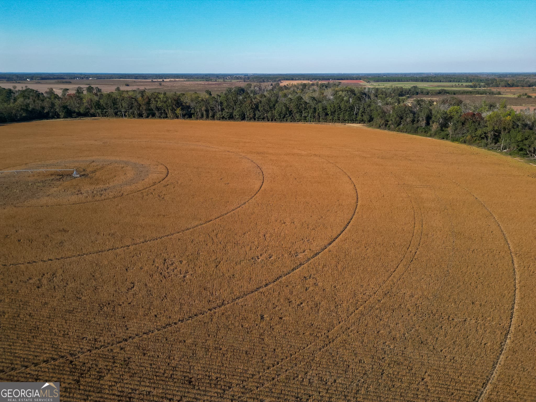 agriculture for sale at 0 Buck Road, Morgan, GA 39866