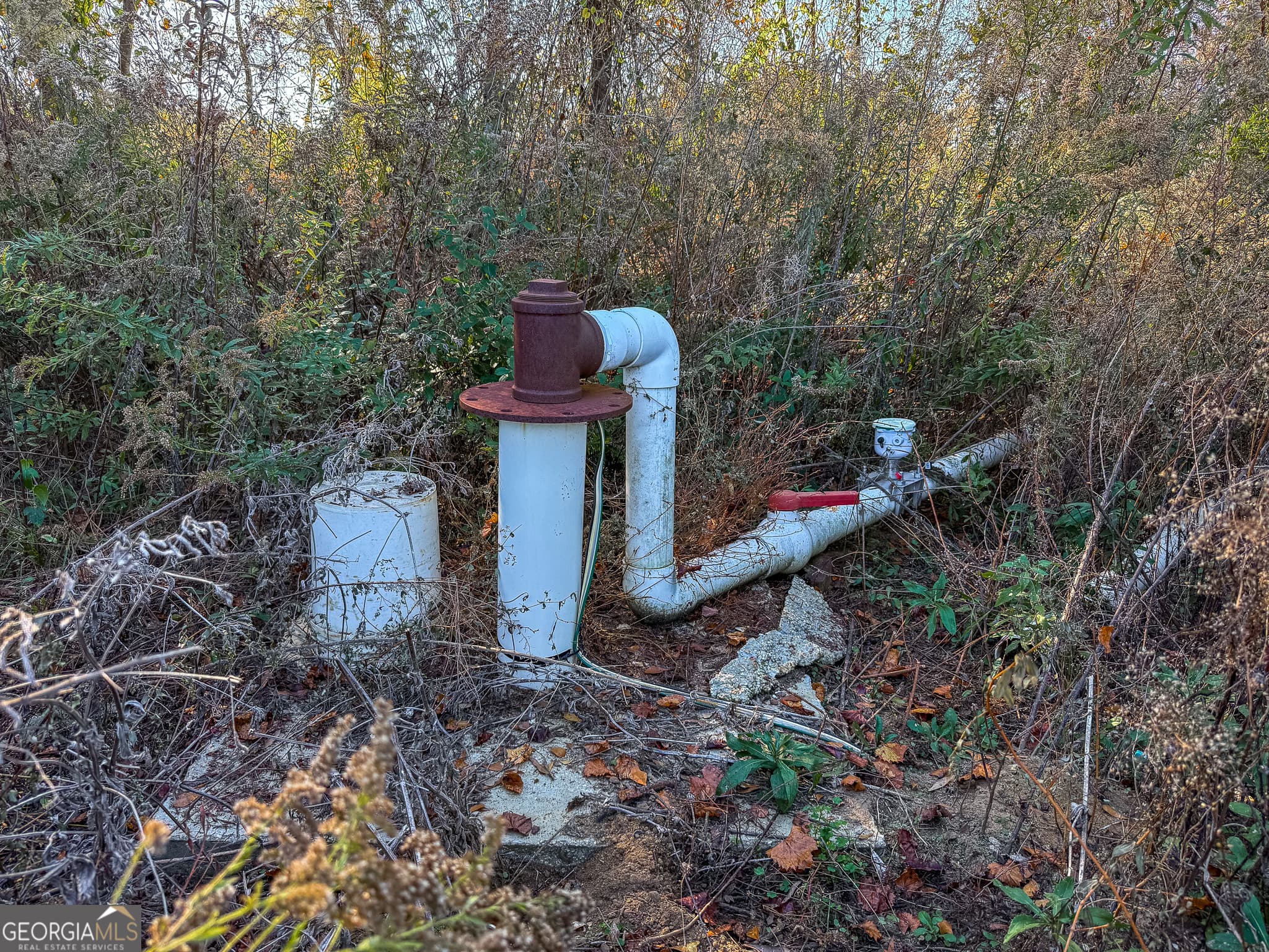 agriculture for sale at 0 Buck Road, Morgan, GA 39866 — photo 9