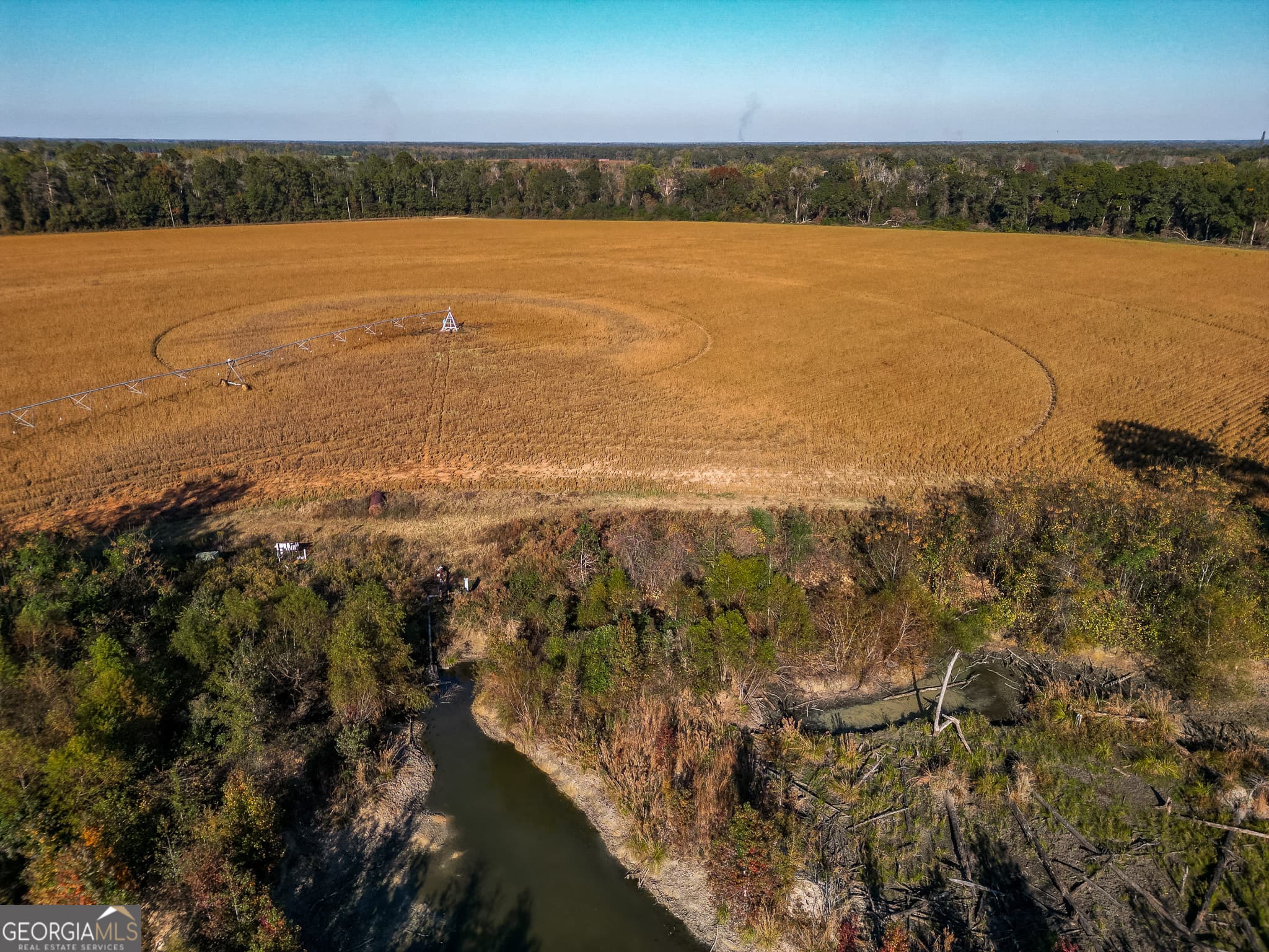 agriculture for sale at 0 Buck Road, Morgan, GA 39866 — photo 10