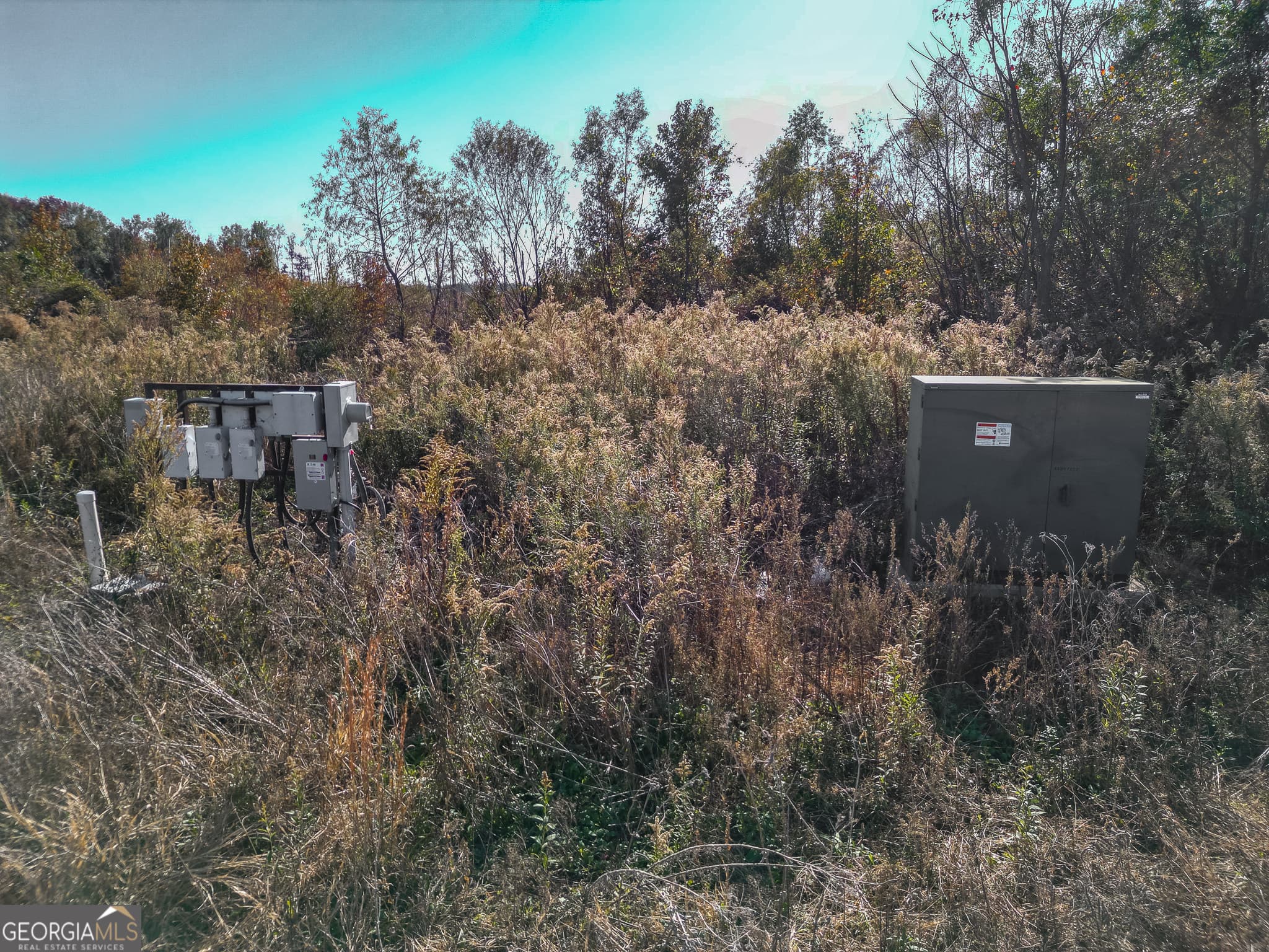 agriculture for sale at 0 Buck Road, Morgan, GA 39866 — photo 8