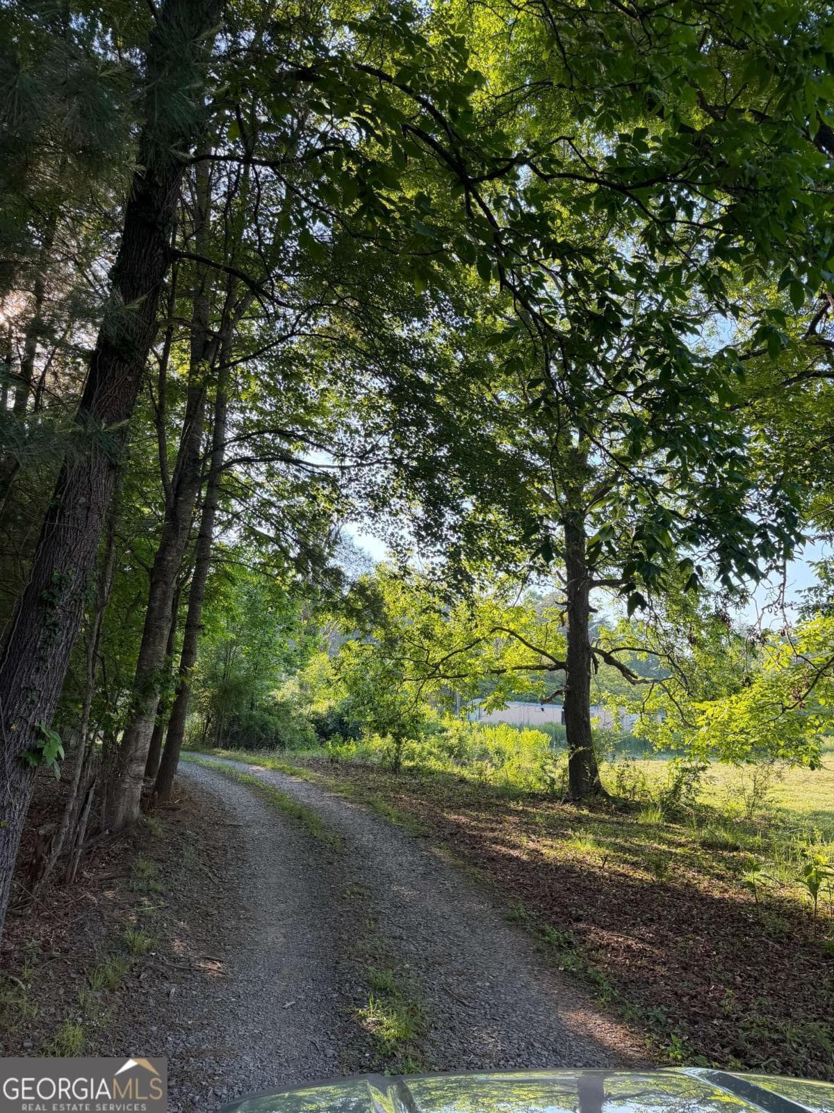 unimproved land for sale at 0 Mountain Road, Morganton, GA 30560 — photo 2