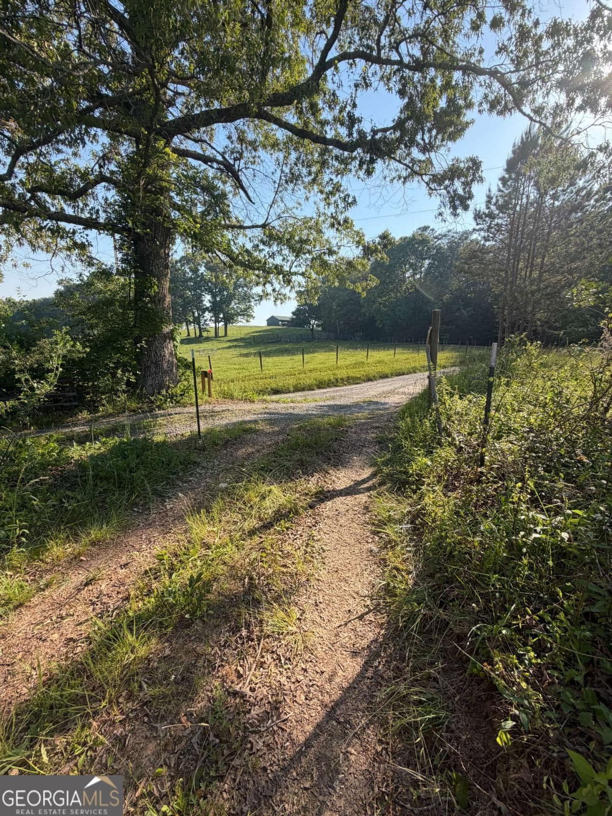 unimproved land for sale at 0 Mountain Road, Morganton, GA 30560 — photo 6