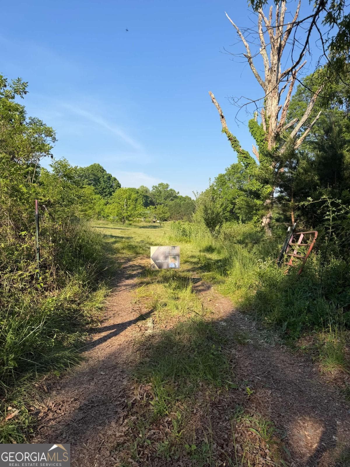 unimproved land for sale at 0 Mountain Road, Morganton, GA 30560 — photo 7