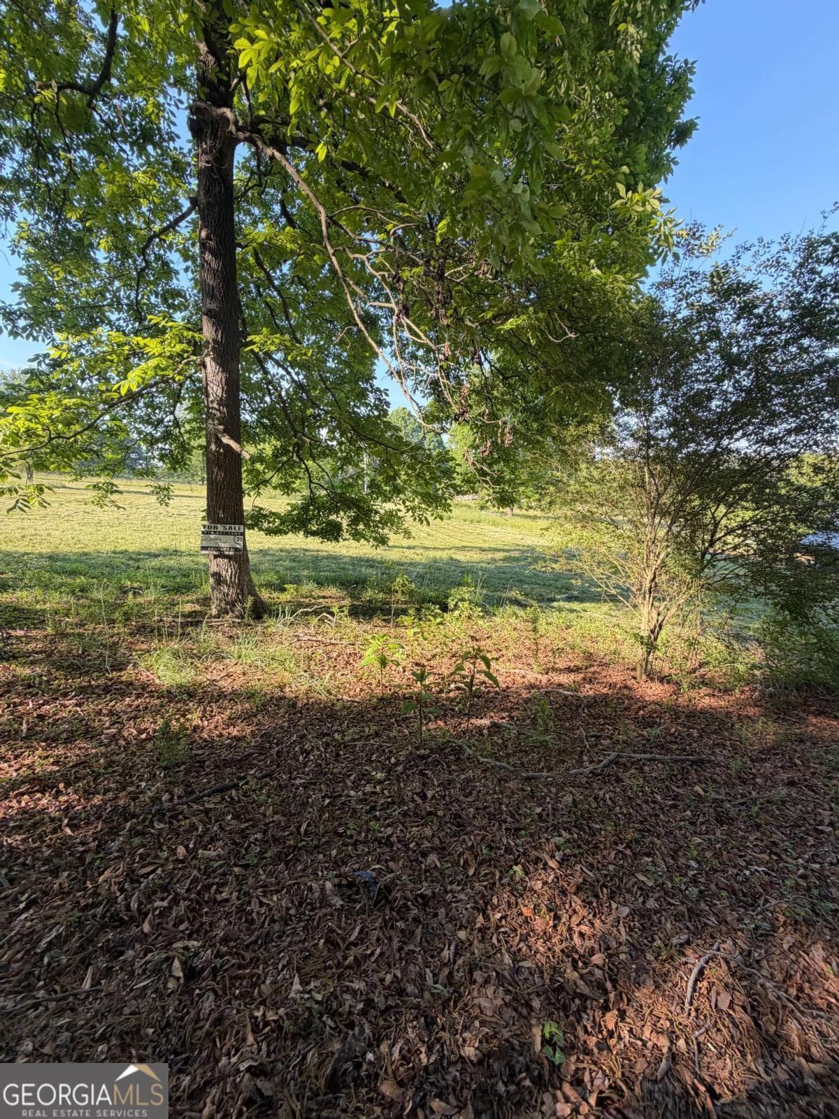 unimproved land for sale at 0 Mountain Road, Morganton, GA 30560 — photo 3