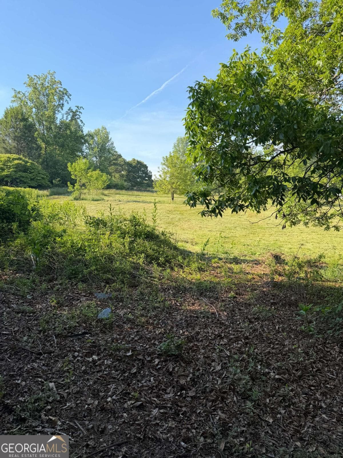 unimproved land for sale at 0 Mountain Road, Morganton, GA 30560 — photo 5