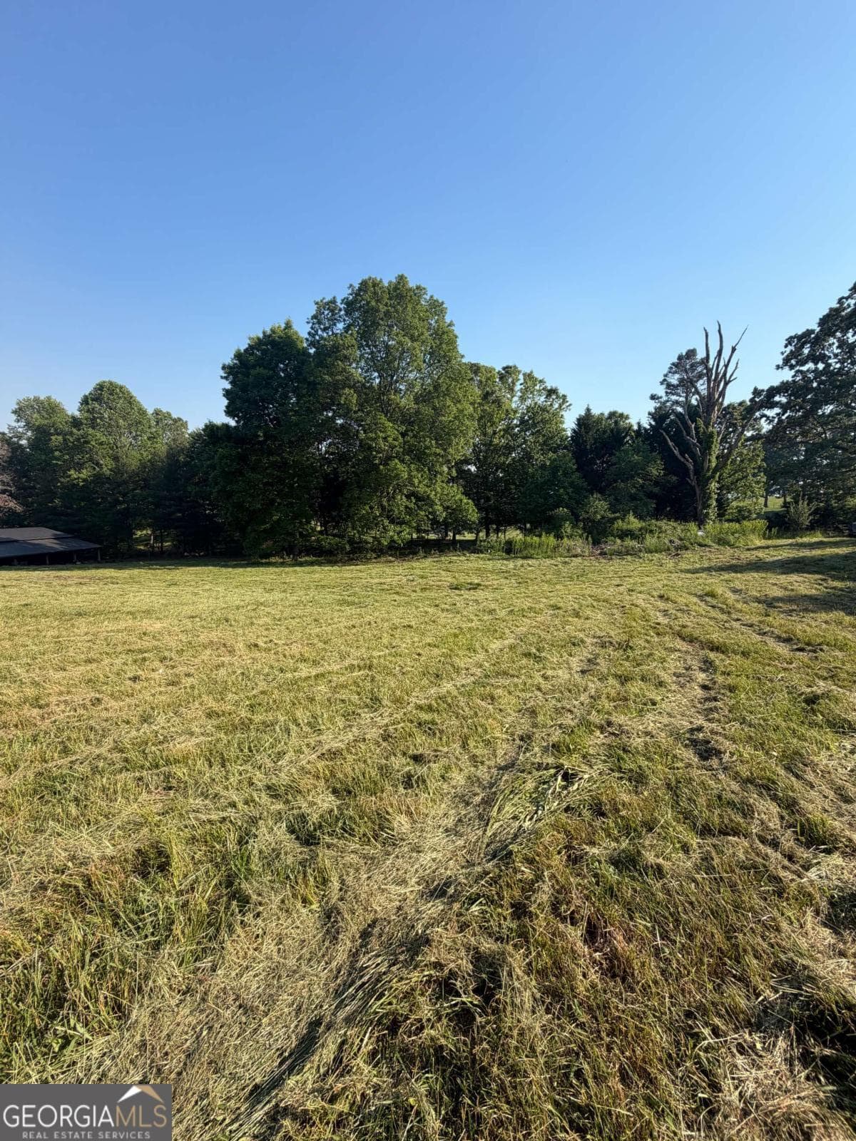 unimproved land for sale at 0 Mountain Road, Morganton, GA 30560 — photo 9