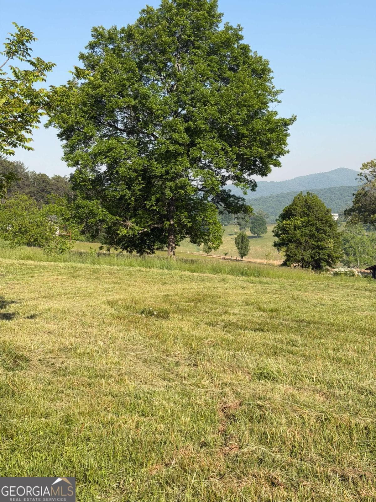 unimproved land for sale at 0 Mountain Road, Morganton, GA 30560 — photo 10