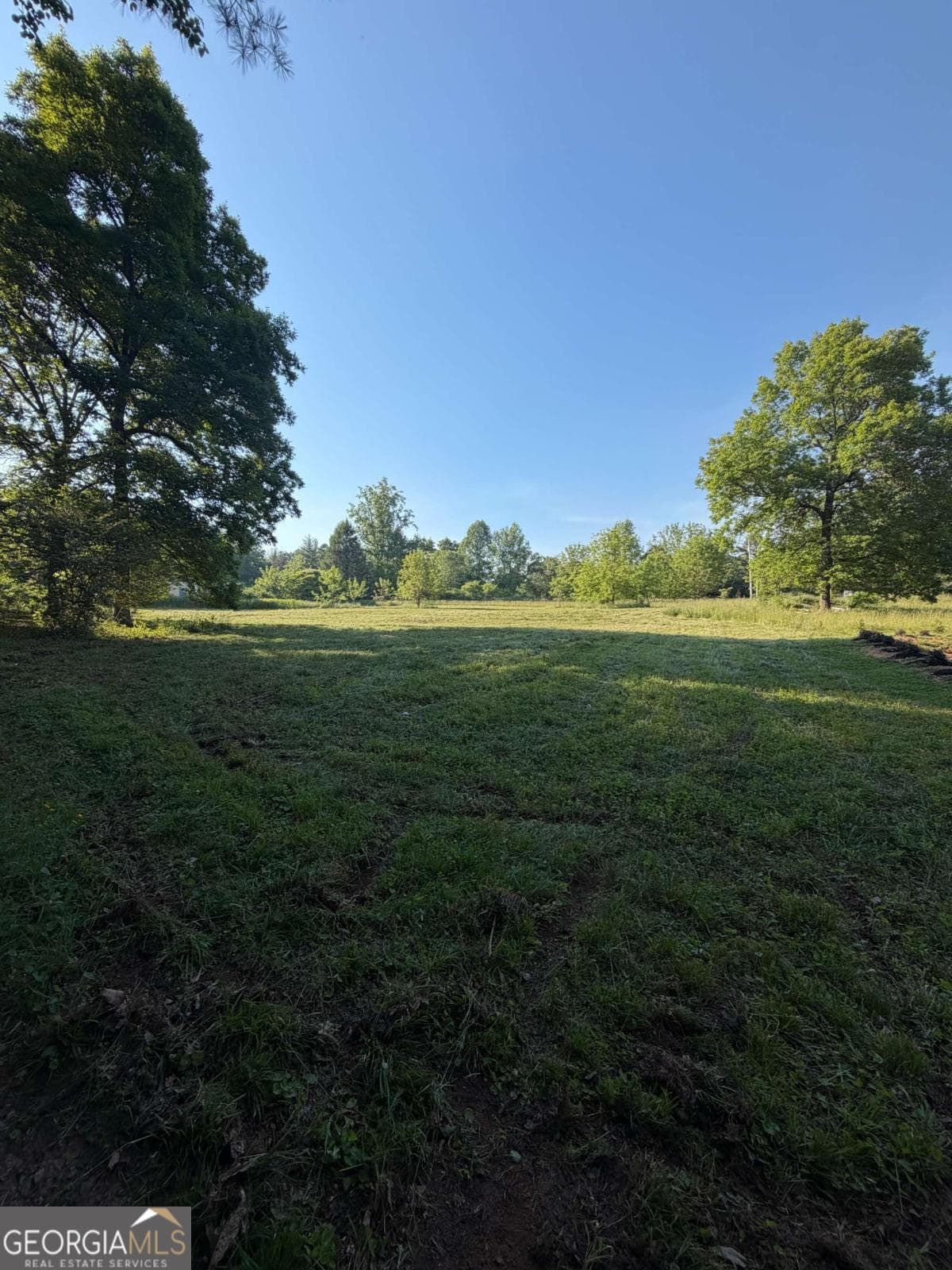 unimproved land for sale at 0 Mountain Road, Morganton, GA 30560 — photo 4