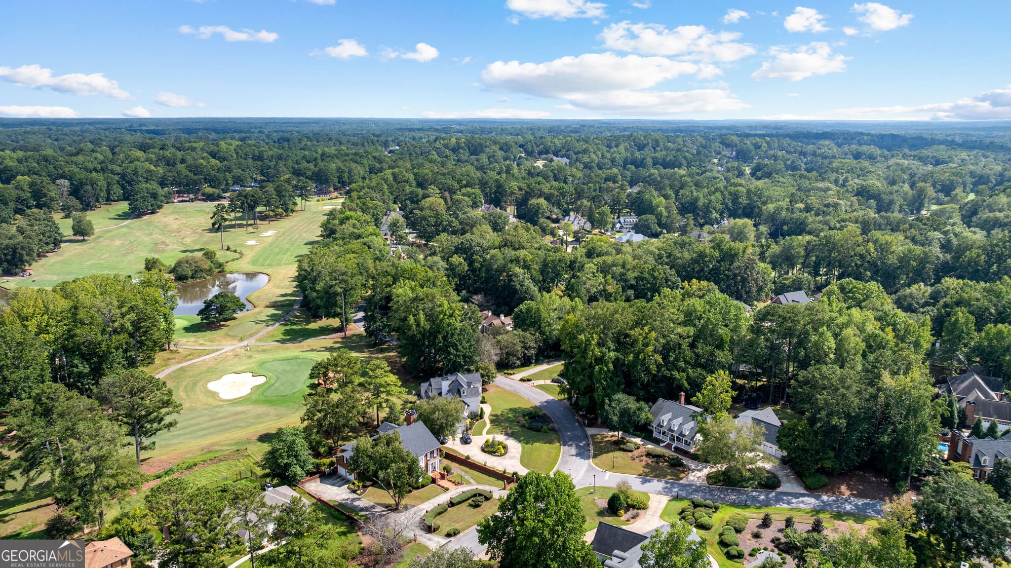 7 bedroom, 6 bathroom, 5,571 sq ft single family residence for sale at 65 Highlands Point, Newnan, GA 30265 — photo 3