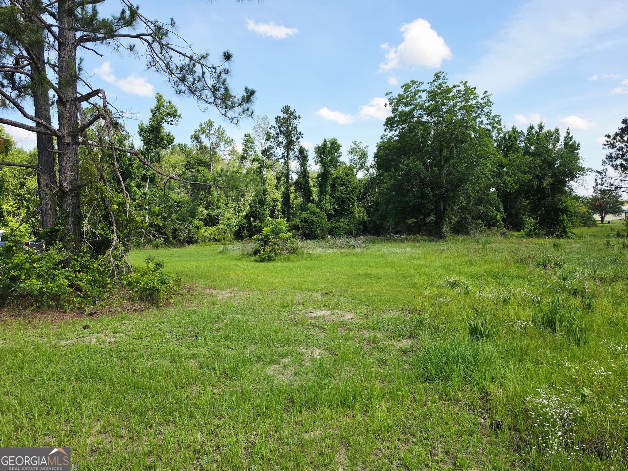 residential lot for sale at 0 Sawmill, Ailey, GA 30410