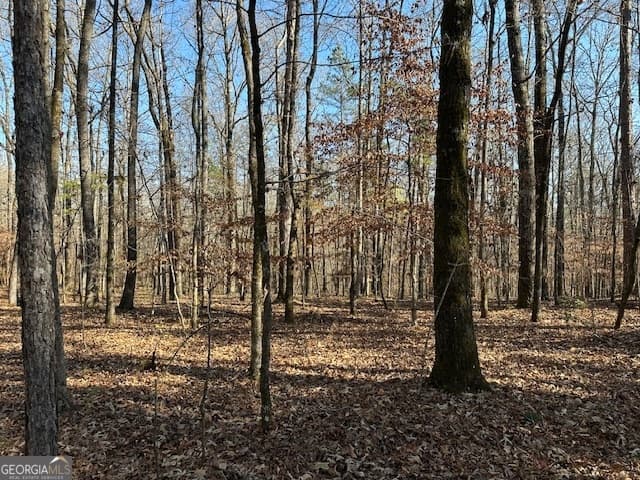 agriculture for sale at 331 Worsham Road, Culloden, GA 31016 — photo 2