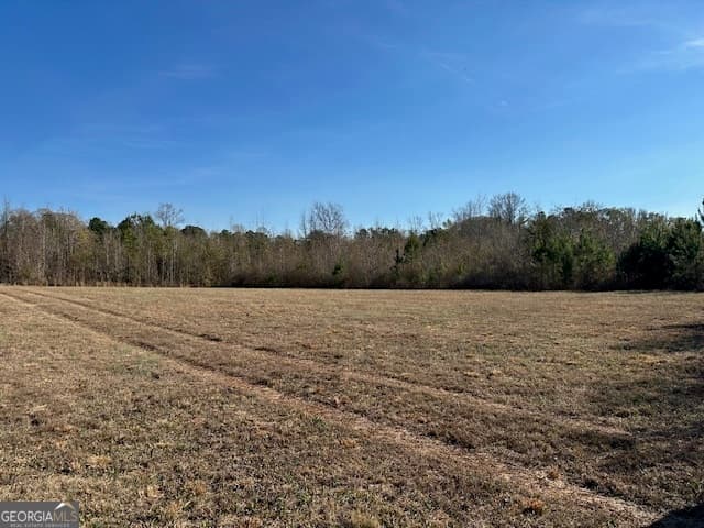 agriculture for sale at 331 Worsham Road, Culloden, GA 31016 — photo 6