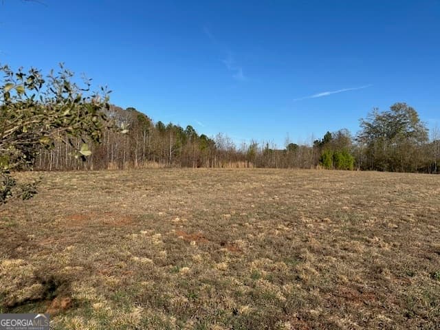 agriculture for sale at 331 Worsham Road, Culloden, GA 31016 — photo 7
