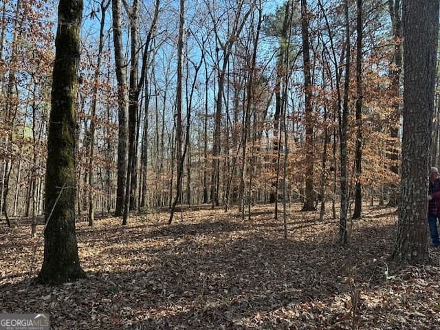 agriculture for sale at 331 Worsham Road, Culloden, GA 31016 — photo 3