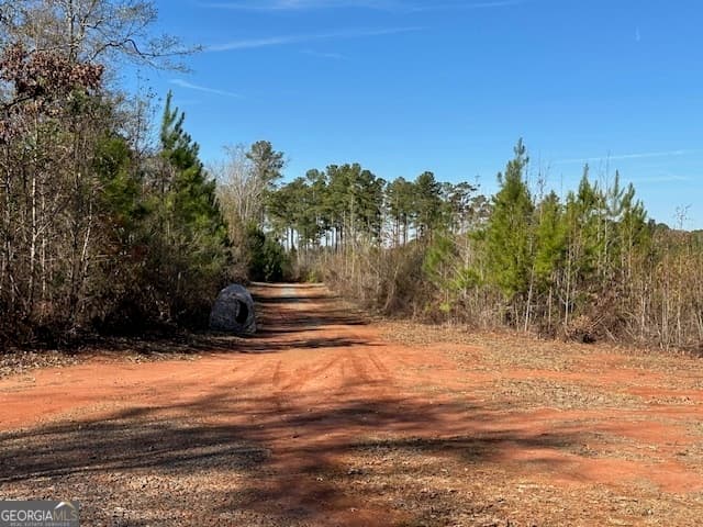 agriculture for sale at 331 Worsham Road, Culloden, GA 31016 — photo 9