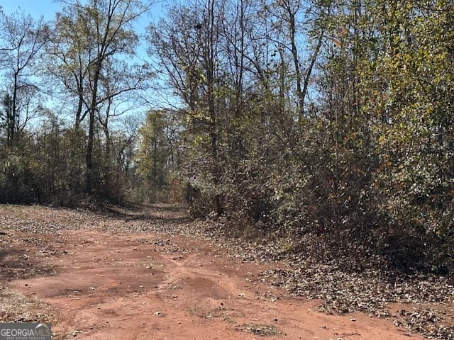 agriculture for sale at 331 Worsham Road, Culloden, GA 31016 — photo 10