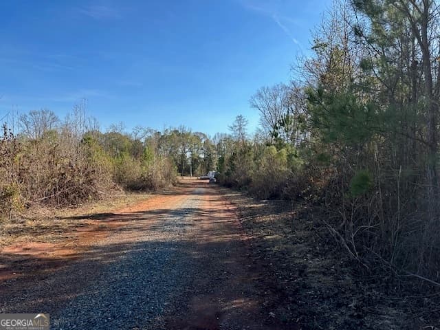 agriculture for sale at 331 Worsham Road, Culloden, GA 31016 — photo 4