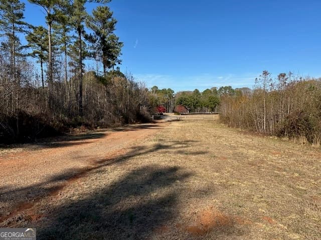 agriculture for sale at 331 Worsham Road, Culloden, GA 31016 — photo 8