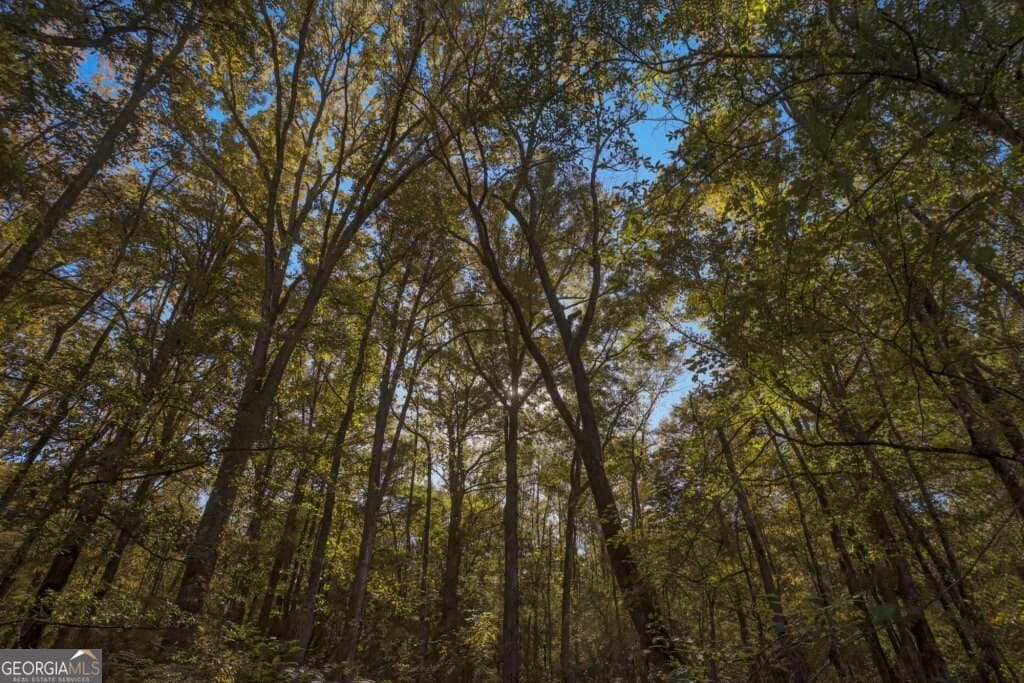 unimproved land for sale at 0 Old Savannah Road TRACT 2, Millen, GA 30442 — photo 2