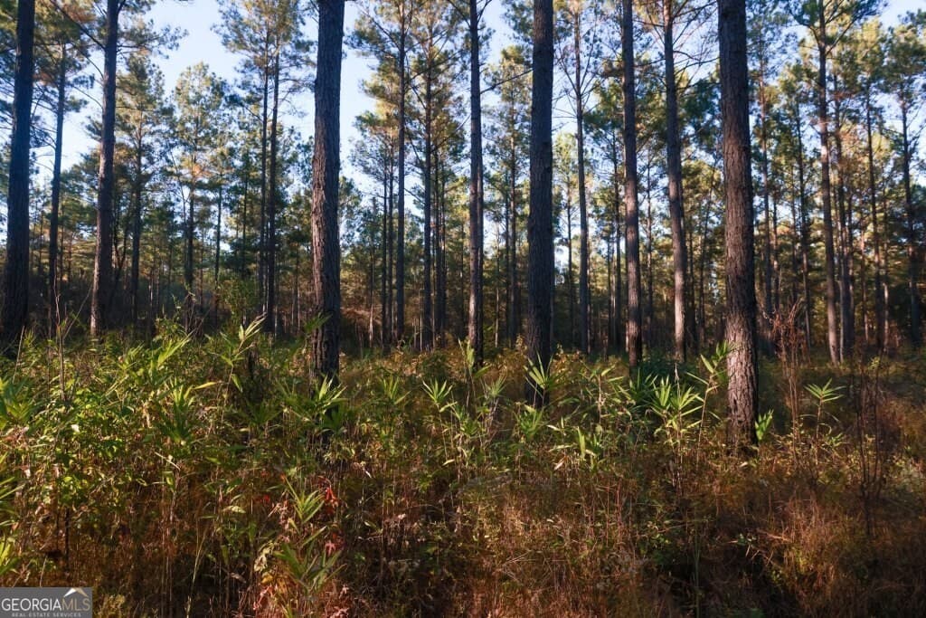 unimproved land for sale at 0 Old Savannah Road TRACT 2, Millen, GA 30442 — photo 5