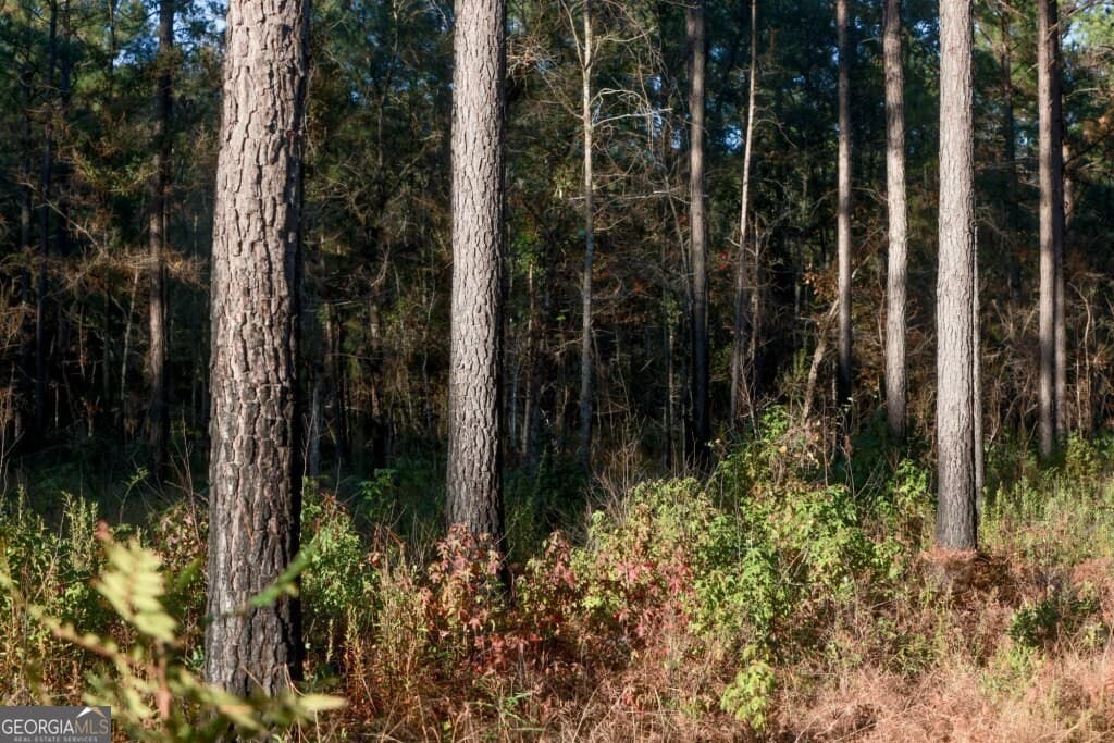 unimproved land for sale at 0 Old Savannah Road TRACT 2, Millen, GA 30442 — photo 9