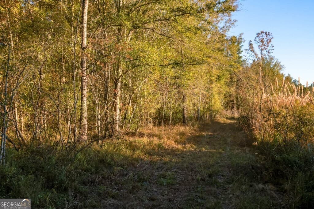 unimproved land for sale at 0 Old Savannah Road TRACT 2, Millen, GA 30442 — photo 10