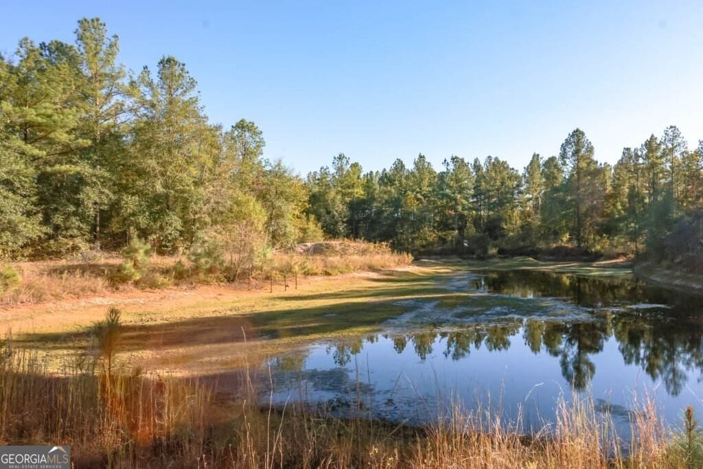 unimproved land for sale at 0 Old Savannah Road TRACT 2, Millen, GA 30442 — photo 4