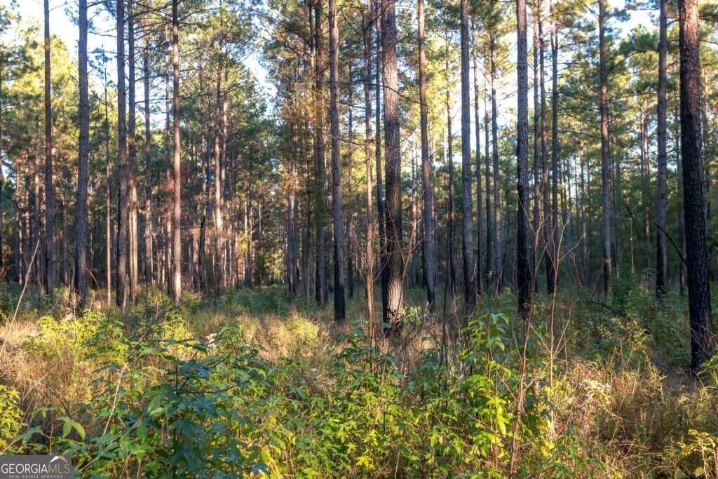 unimproved land for sale at 0 Old Savannah Road TRACT 2, Millen, GA 30442 — photo 8