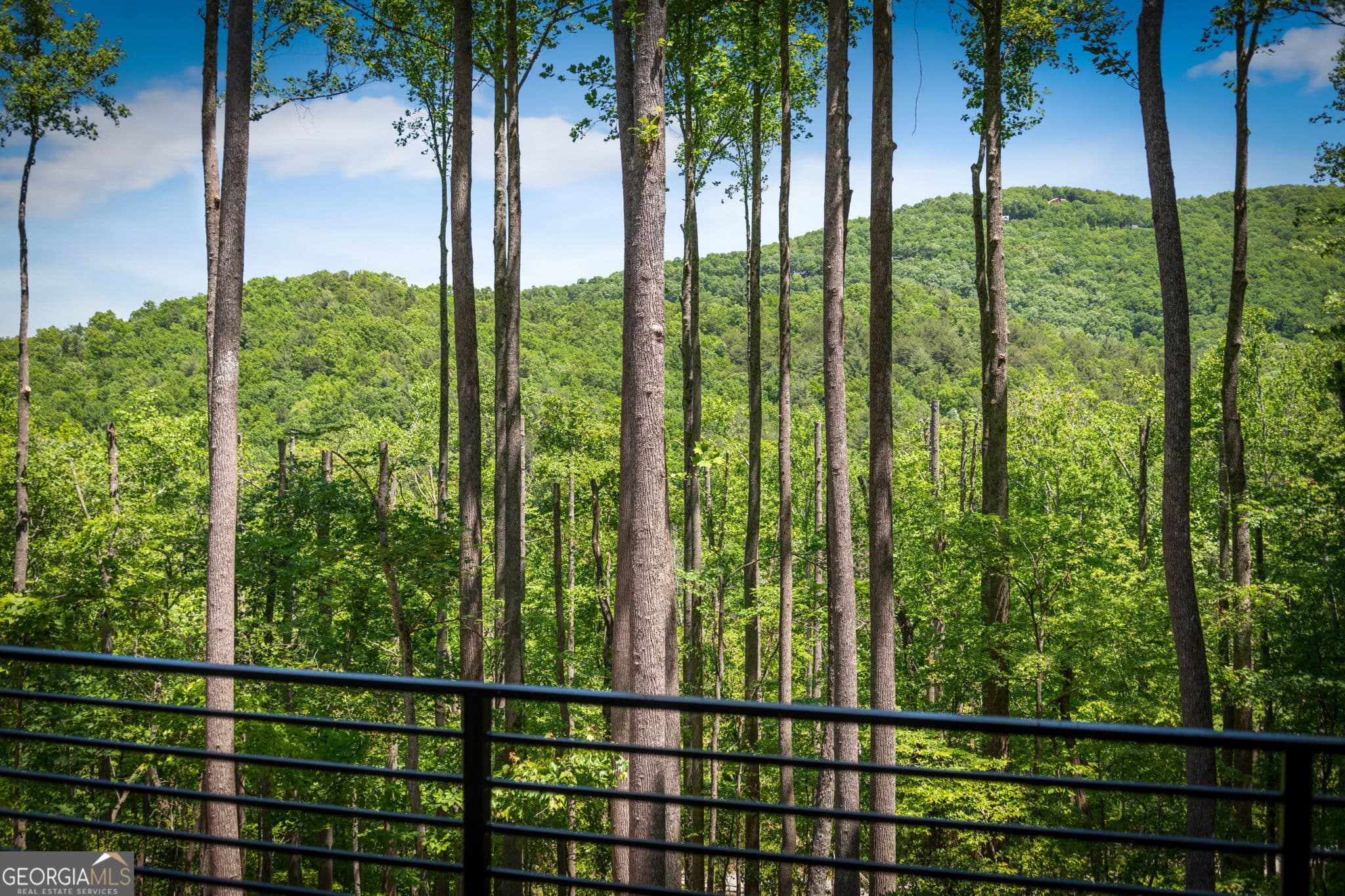 3 bedroom, 3.5 bathroom, 3,006 sq ft cabin,single family residence for sale at 172 Grand Oaks Trail, Morganton, GA 30560 — photo 3