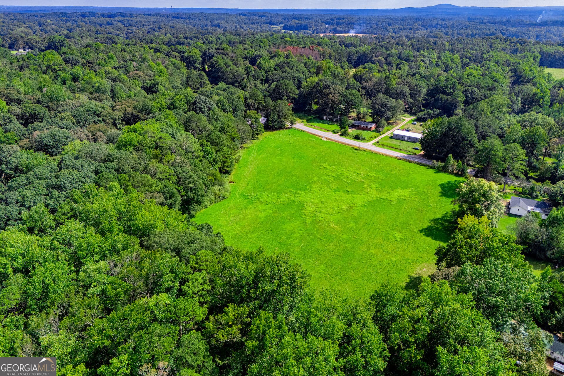 agriculture for sale at TRACT 3 W Hwy 166, Bowdon, GA 30108 — photo 7