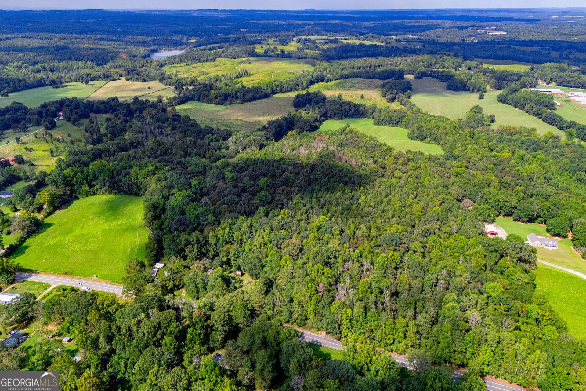 agriculture for sale at TRACT 3 W Hwy 166, Bowdon, GA 30108 — photo 4