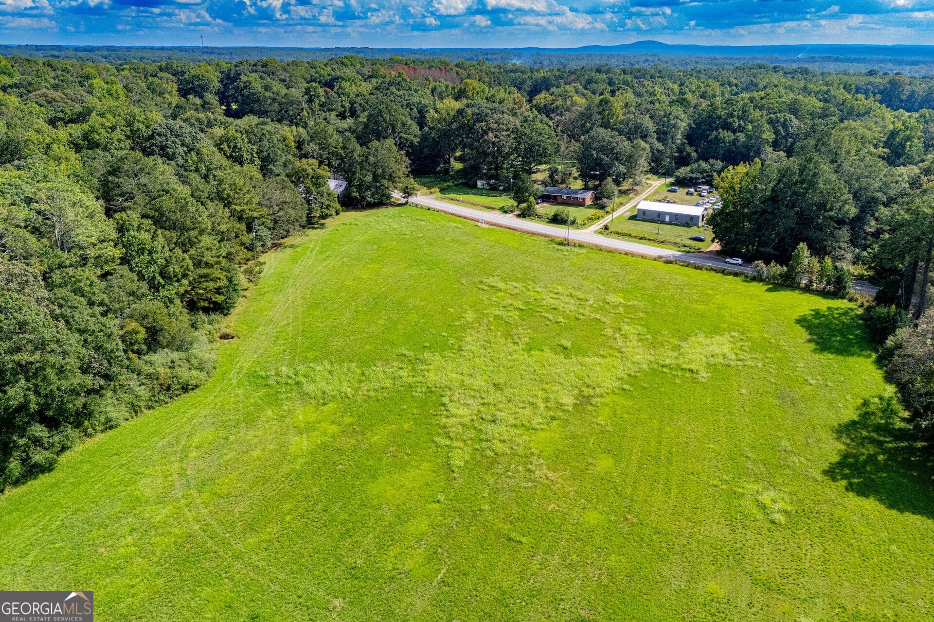 agriculture for sale at TRACT 3 W Hwy 166, Bowdon, GA 30108 — photo 8