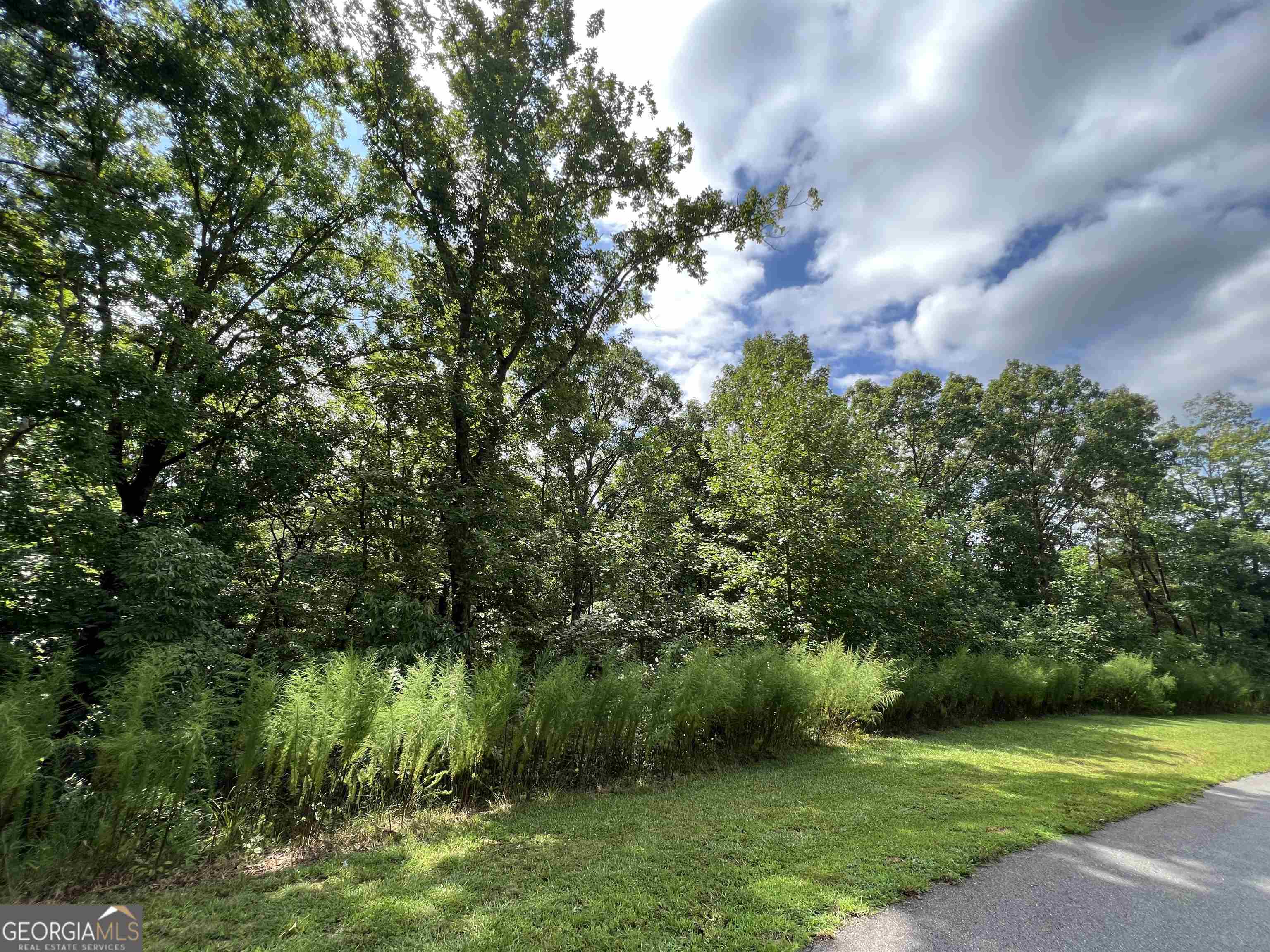 residential lot for sale at LOT 187 Northshore Drive, Cleveland, GA 30528 — photo 2