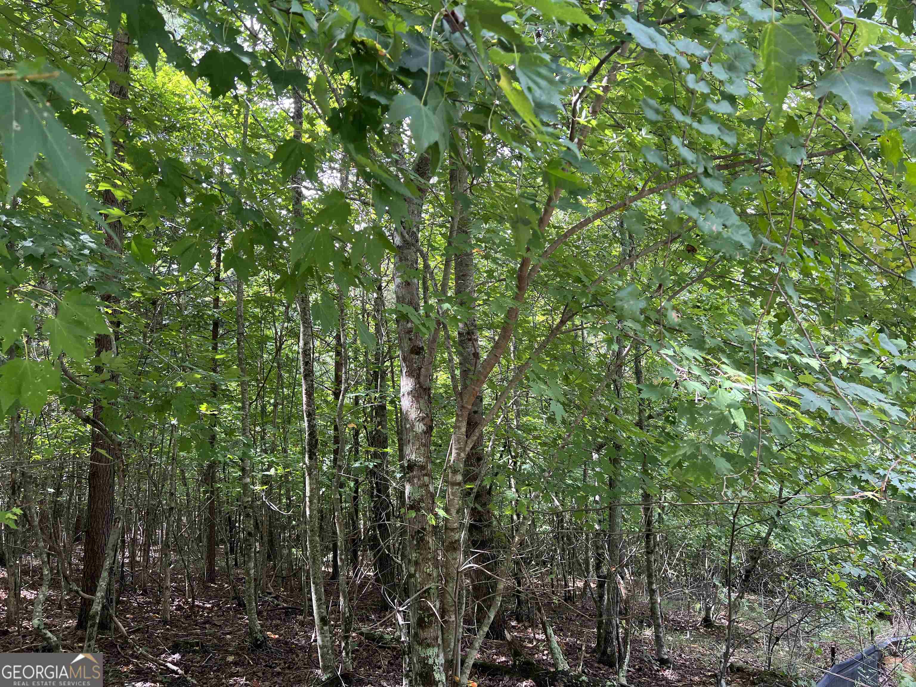 residential lot for sale at LOT 187 Northshore Drive, Cleveland, GA 30528 — photo 3