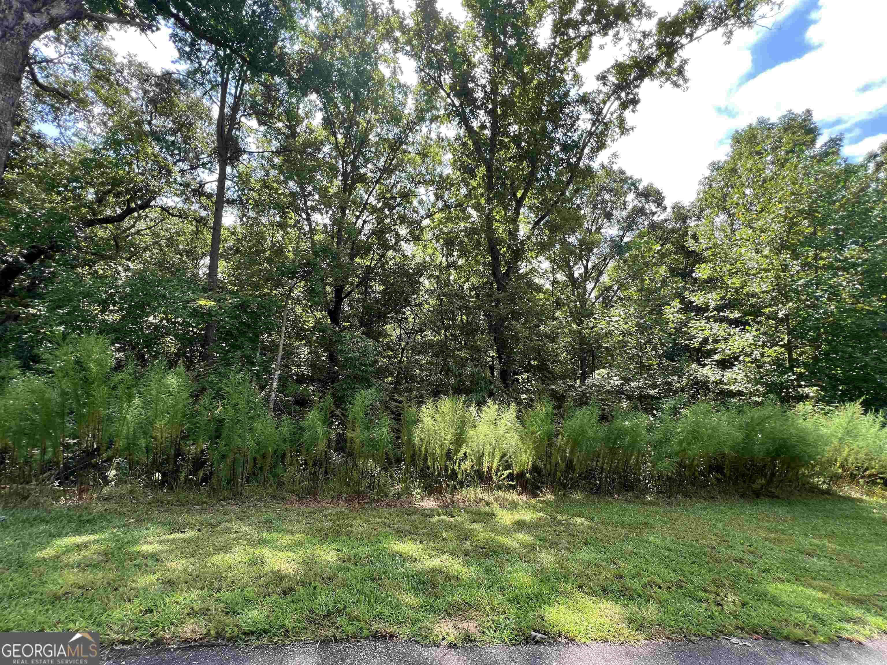 residential lot for sale at LOT 187 Northshore Drive, Cleveland, GA 30528 — photo 1 of 6