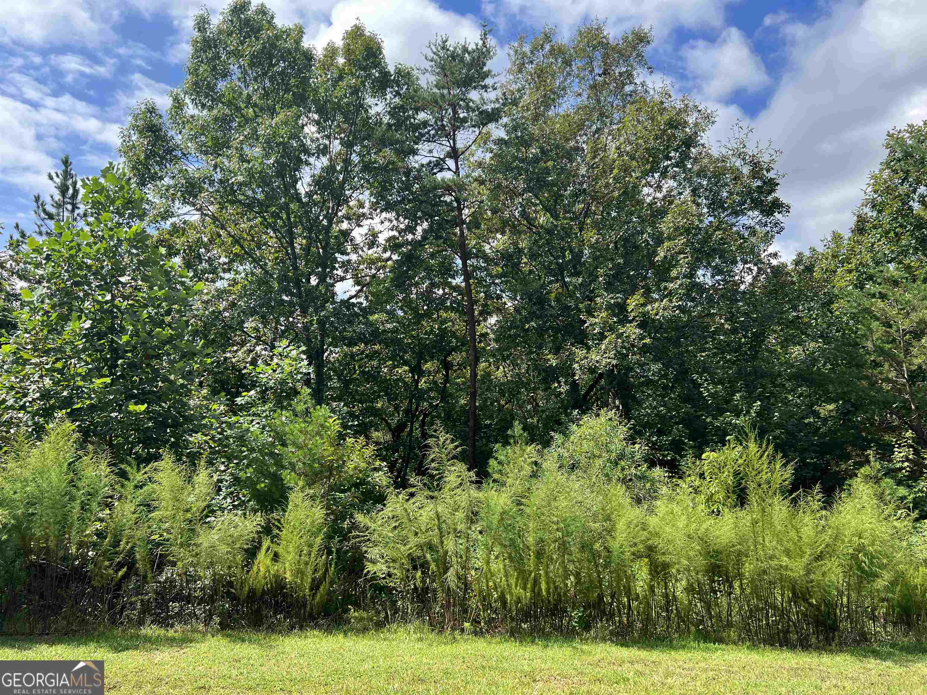residential lot for sale at LOT 187 Northshore Drive, Cleveland, GA 30528 — photo 5