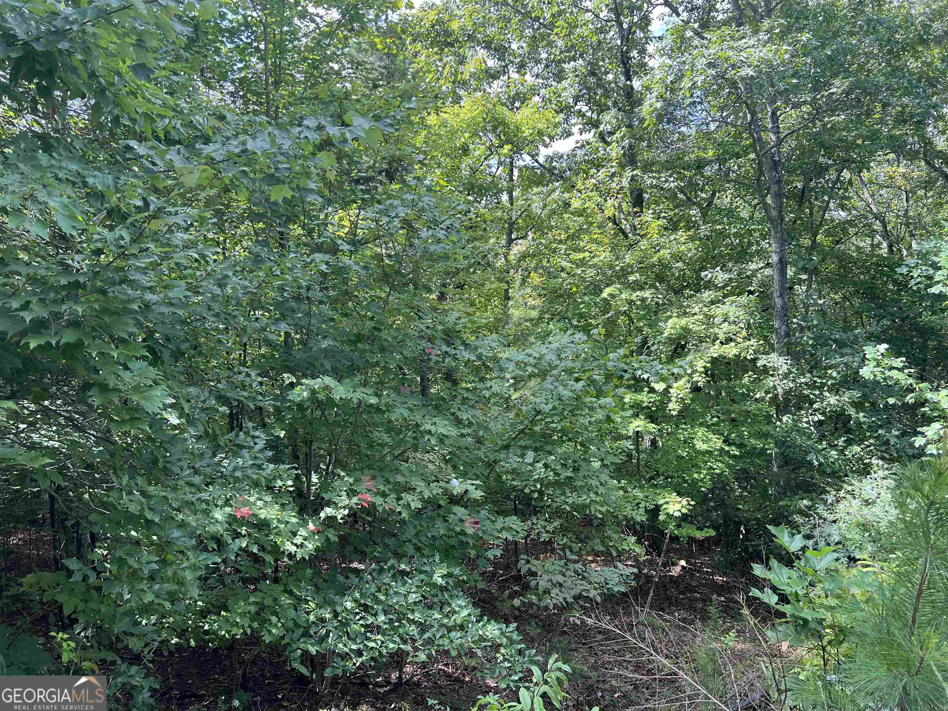 residential lot for sale at LOT 187 Northshore Drive, Cleveland, GA 30528 — photo 4