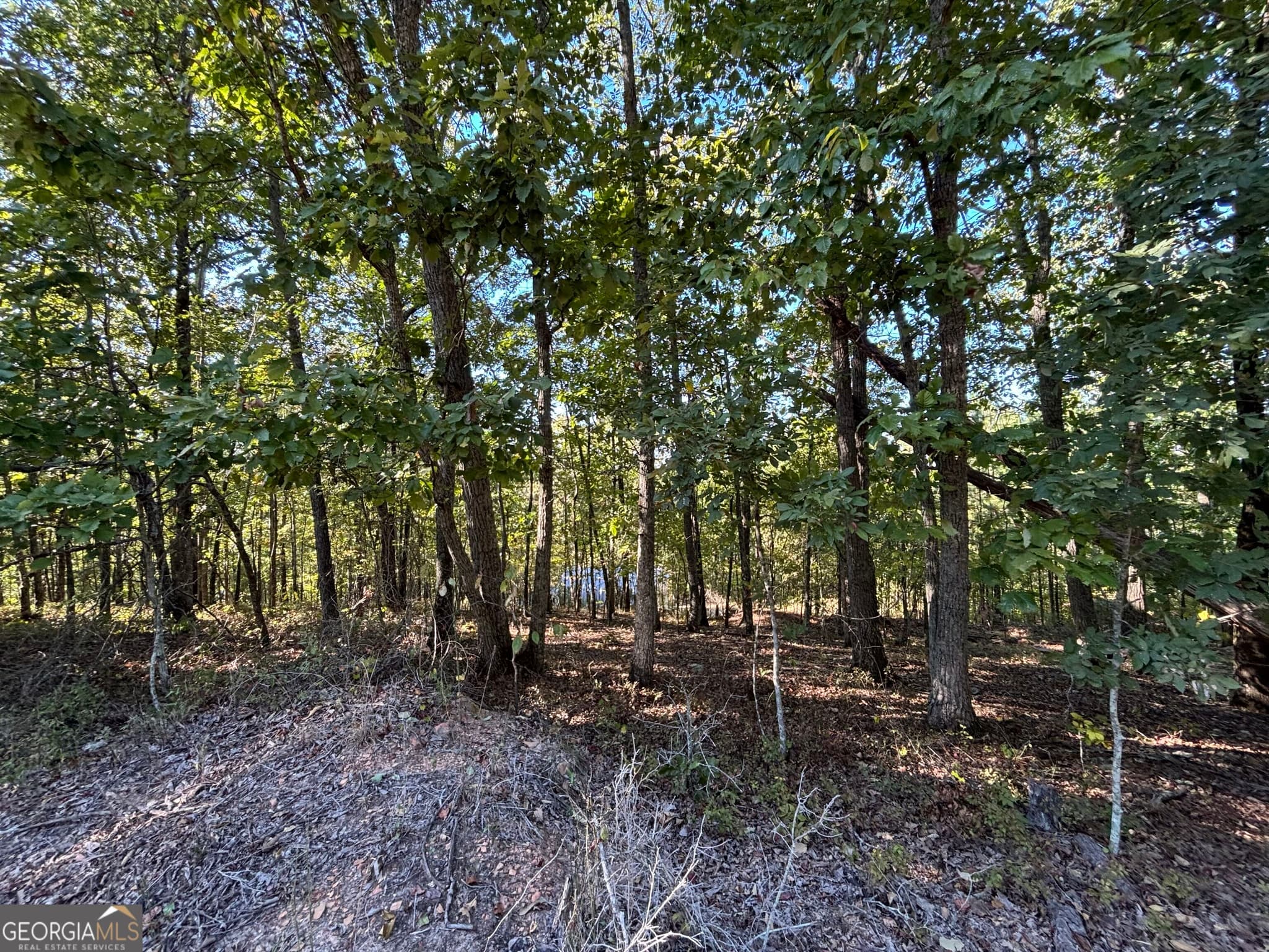agriculture for sale at 1044 Highway 19, Meansville, GA 30256 — photo 6