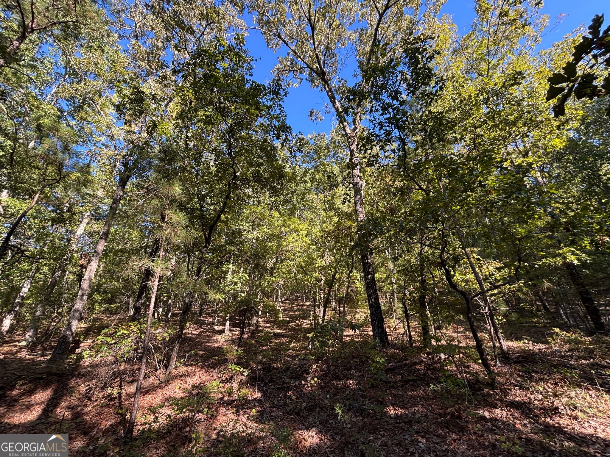 agriculture for sale at 1044 Highway 19, Meansville, GA 30256 — photo 7