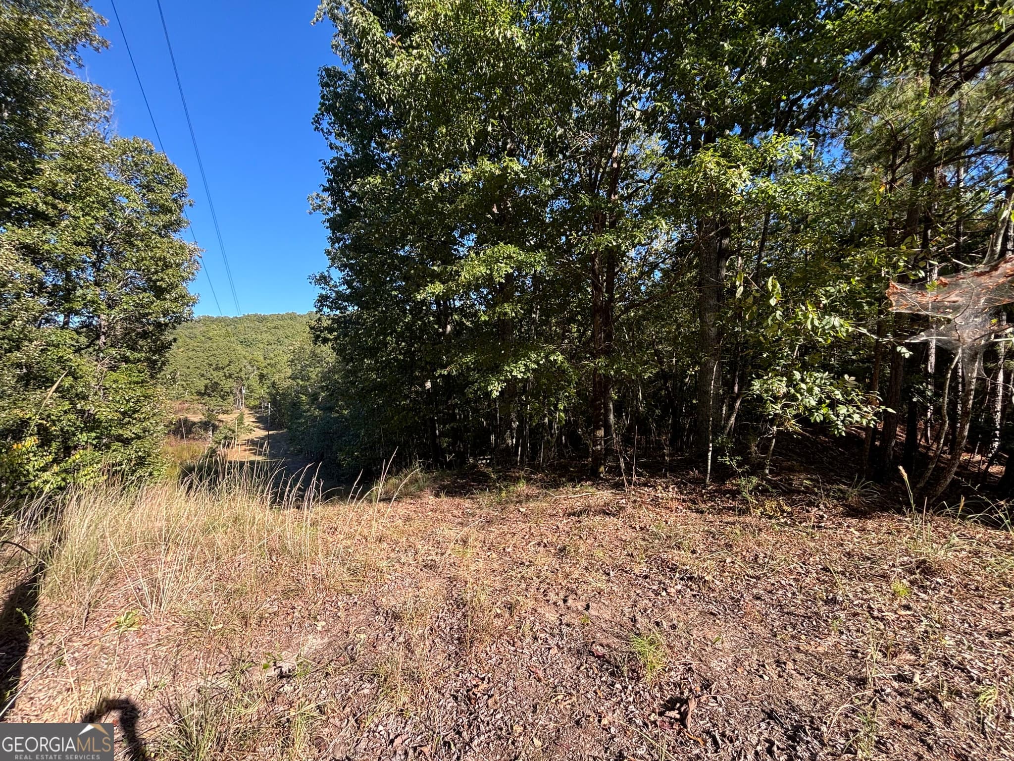 agriculture for sale at 1044 Highway 19, Meansville, GA 30256 — photo 5