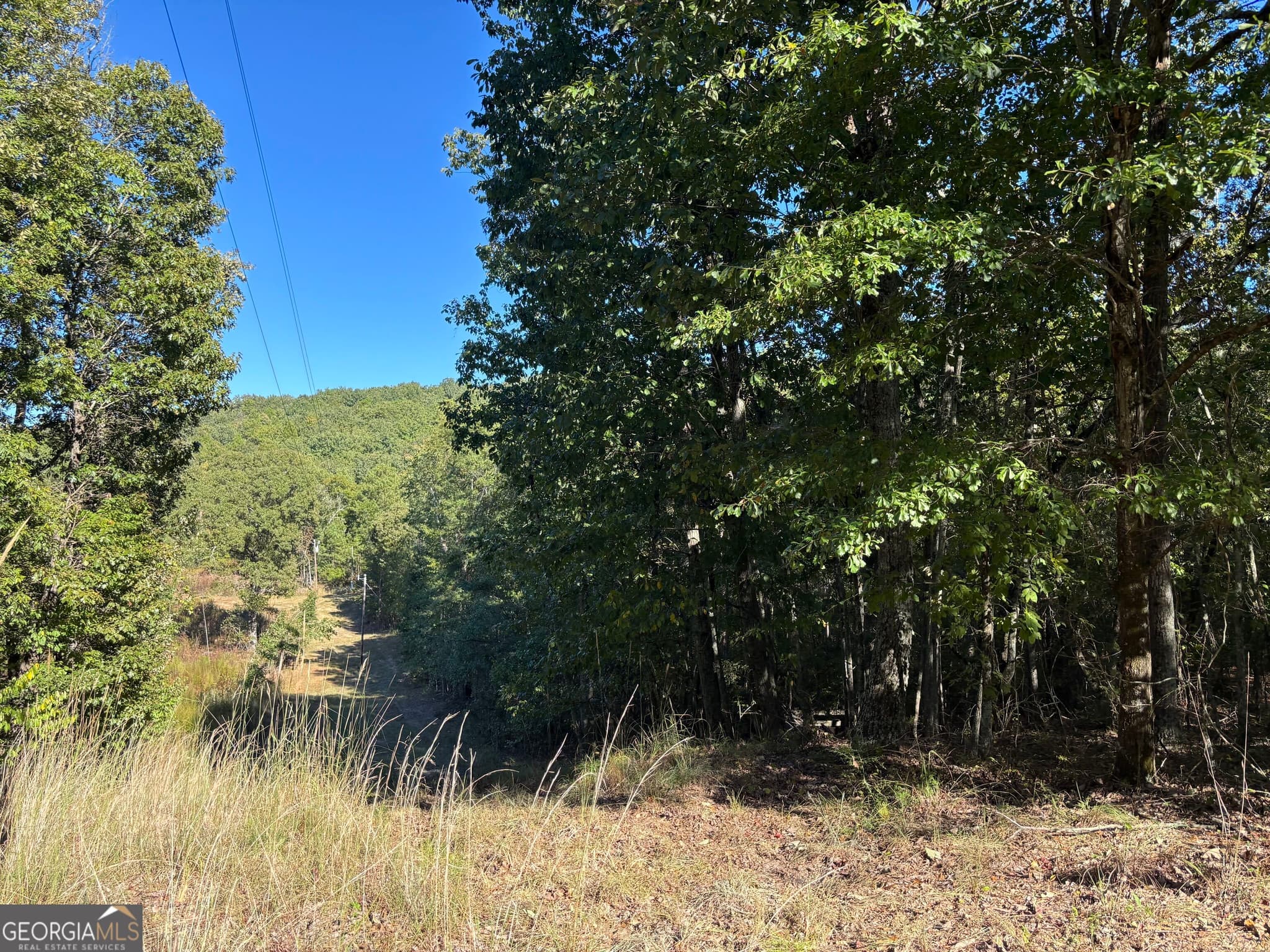 agriculture for sale at 1044 Highway 19, Meansville, GA 30256 — photo 4