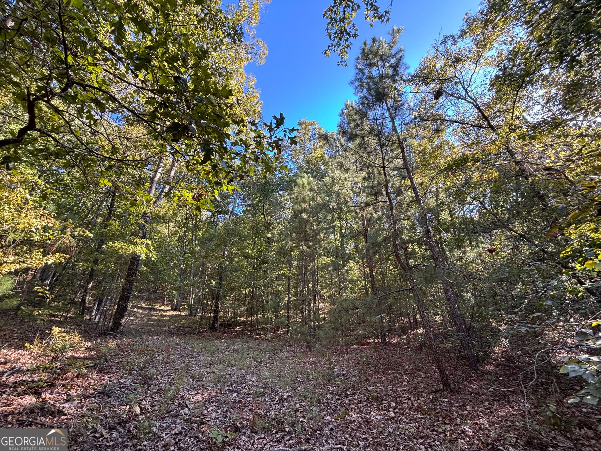 agriculture for sale at 1044 Highway 19, Meansville, GA 30256 — photo 8