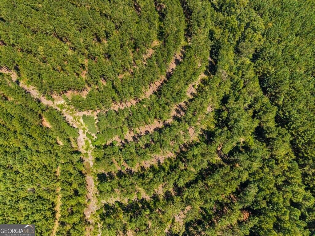 unimproved land for sale at 2 W State Route 90 Road CEDAR CREEK FARM, Ideal, GA 31041 — photo 6