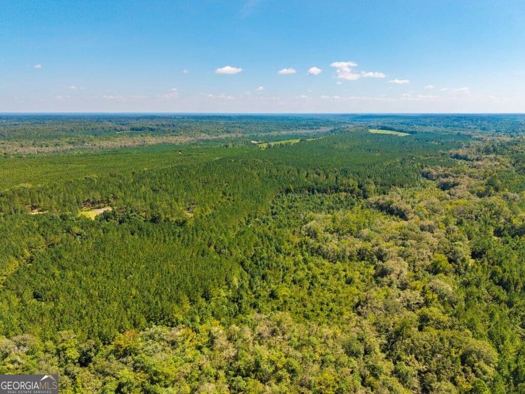 unimproved land for sale at 2 W State Route 90 Road CEDAR CREEK FARM, Ideal, GA 31041 — photo 7