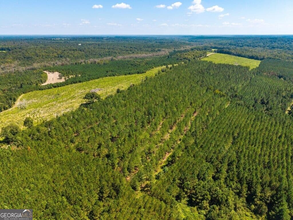 unimproved land for sale at 2 W State Route 90 Road CEDAR CREEK FARM, Ideal, GA 31041 — photo 3
