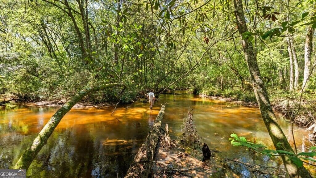 unimproved land for sale at 2 W State Route 90 Road CEDAR CREEK FARM, Ideal, GA 31041