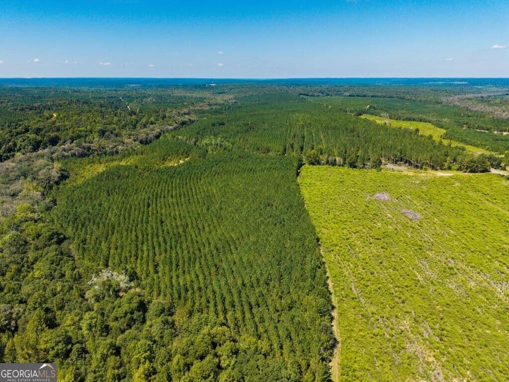 unimproved land for sale at 2 W State Route 90 Road CEDAR CREEK FARM, Ideal, GA 31041 — photo 5