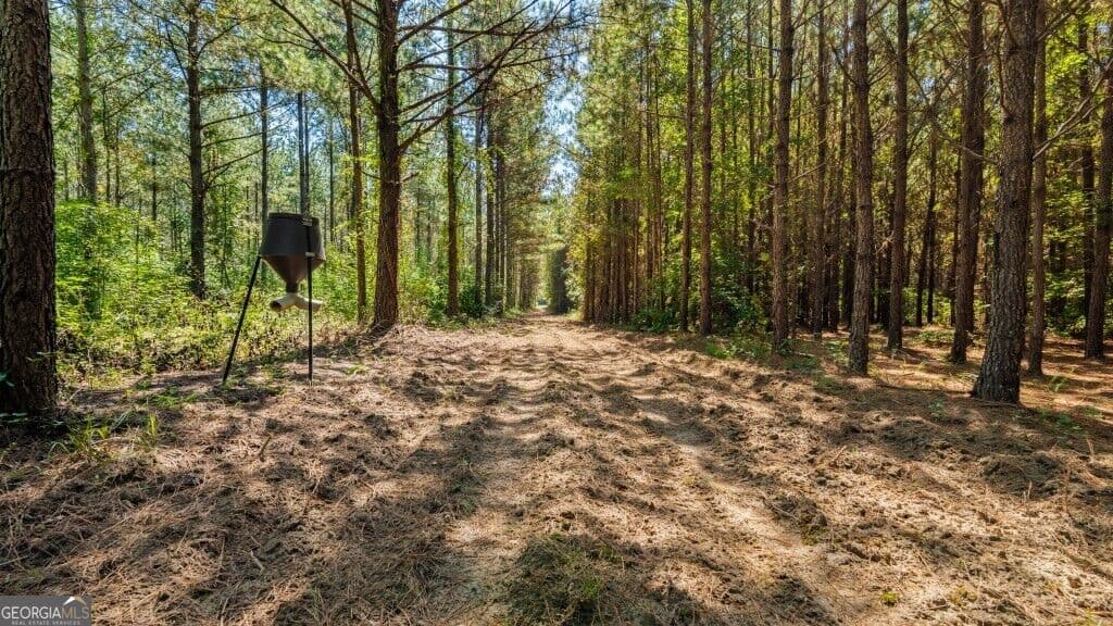 unimproved land for sale at 2 W State Route 90 Road CEDAR CREEK FARM, Ideal, GA 31041 — photo 9