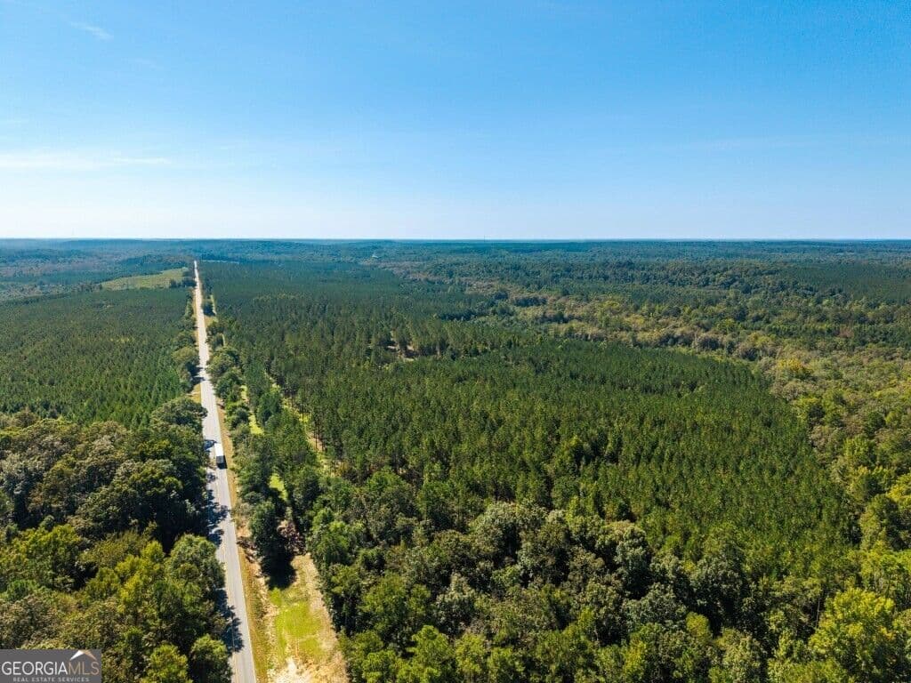 unimproved land for sale at 2 W State Route 90 Road CEDAR CREEK FARM, Ideal, GA 31041 — photo 4